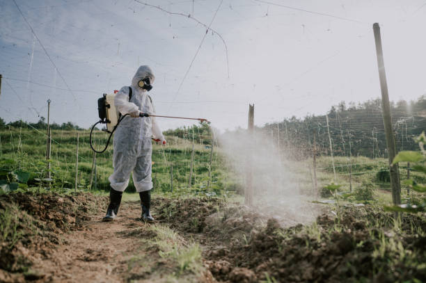 Pest Control Cost in Hickory, NC