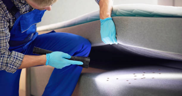 Trusted Hickory, NC Pest Control Experts